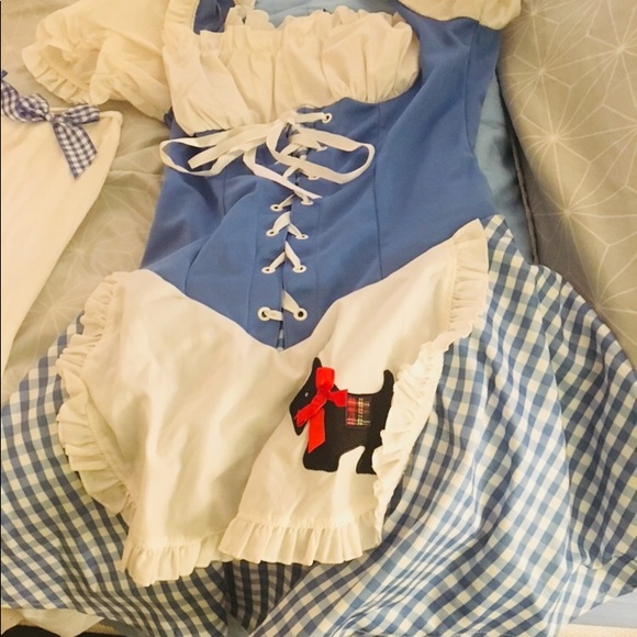 ‼️SOLD‼️Adult Dorothy sexy costume‼️ - Picture 2 of 5